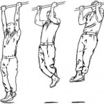 marine pullups Marine Pullups